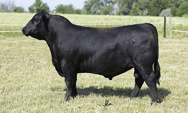BALDRIDGE COLONEL C251 - PAI