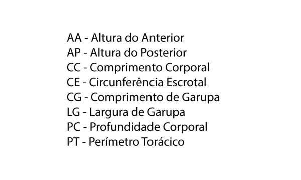 Legenda medidas do touro